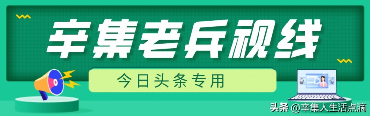 小宠物猪养到300斤辽宁营口现人猪情未了