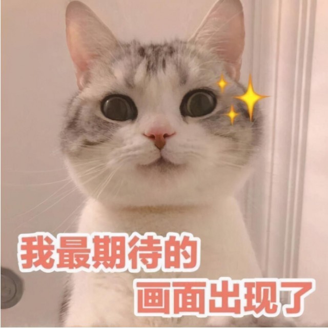 宠物猫掉毛严重的原因是什么？怎样缓解？